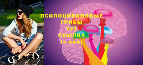 гидра Гусь-Хрустальный