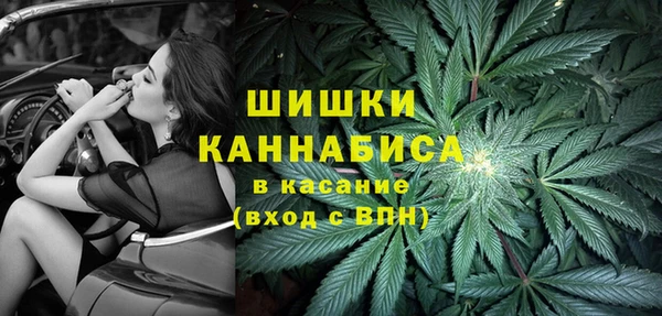 дурь Гусиноозёрск