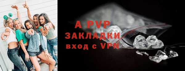 гидра Гусь-Хрустальный
