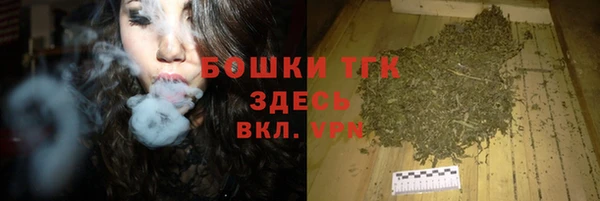 дурь Гусиноозёрск