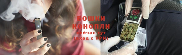 дурь Гусиноозёрск