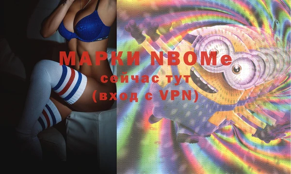 ПСИЛОЦИБИНОВЫЕ ГРИБЫ Богданович