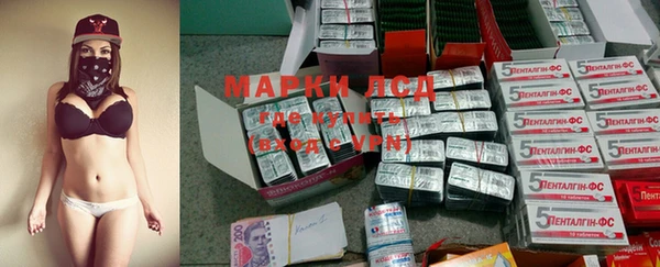 ПСИЛОЦИБИНОВЫЕ ГРИБЫ Богданович