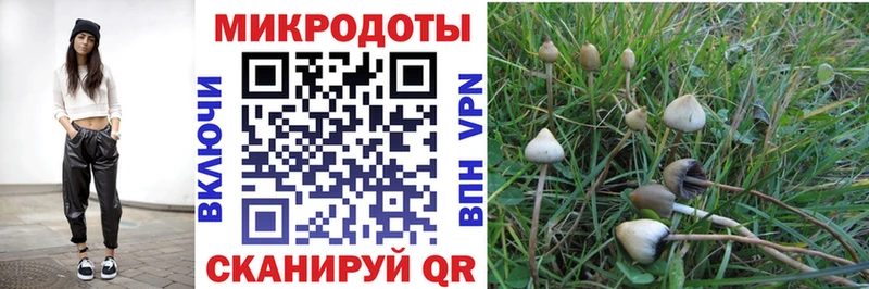 наркошоп  Крым  Псилоцибиновые грибы GOLDEN TEACHER 