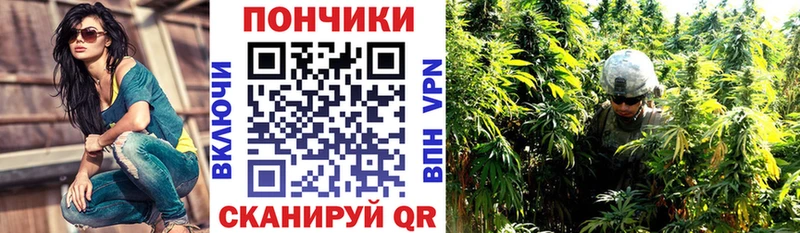 Канабис ГИДРОПОН  закладка  Крым 